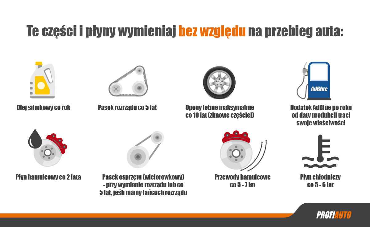grafika info.jpg