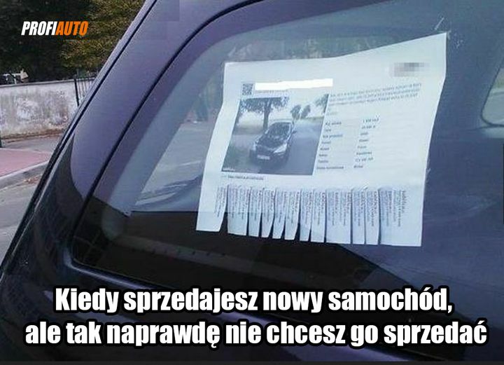 Do których marek właściciele są wyjątkowo przywiązani❓#ProfiAuto #DoradcaProfiAuto #sprzedaż…